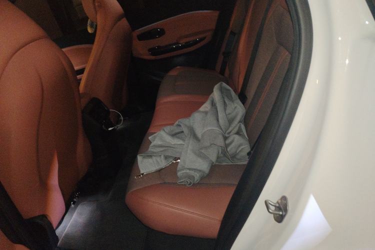 Used Nio EC6 2020 615 km Performance Edition Left Rear Seat