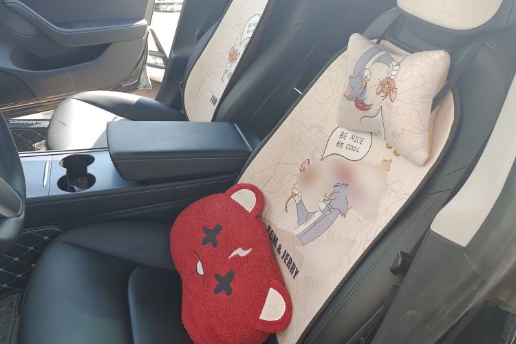 Used Tesla Model 3 2021 Standard Range Rear-Wheel Drive Upgraded Version 3D6