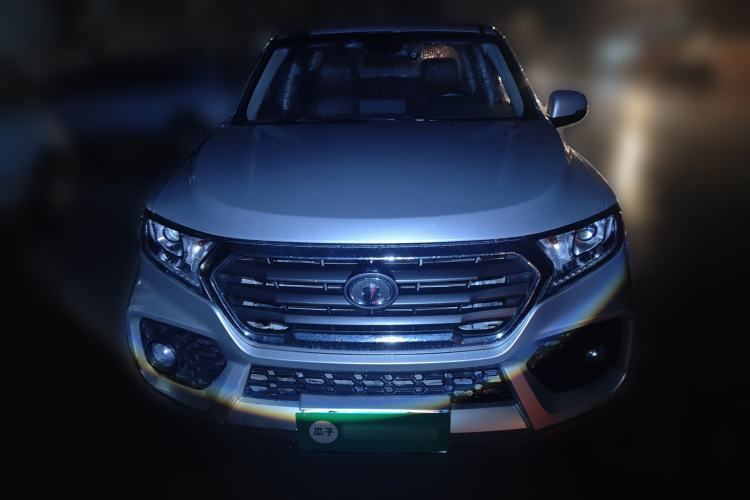 Used Great Wall Wingle 7 2019 2.0T Four-Wheel Drive Champion Executive Version Big Double 4D20D