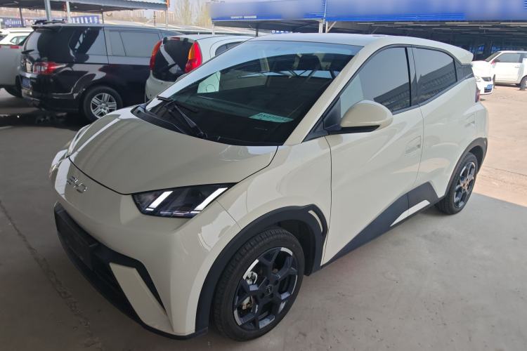 Used BYD Seagull 2024 Honor Edition 305km Freedom Version