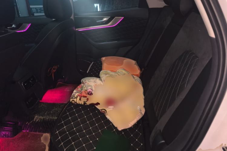 Used Hongqi HS5 2019 2.0T Smart Connect Flagship Edition
