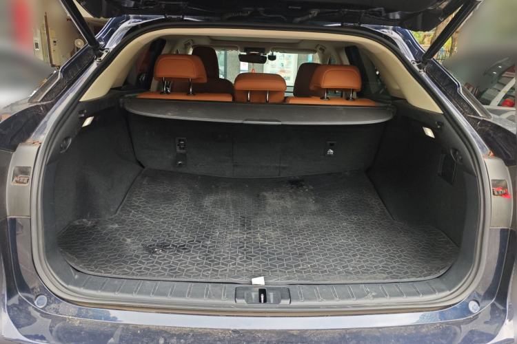 Used Lexus RX 2020 Facelifted 300 4x4 Elegant Edition
