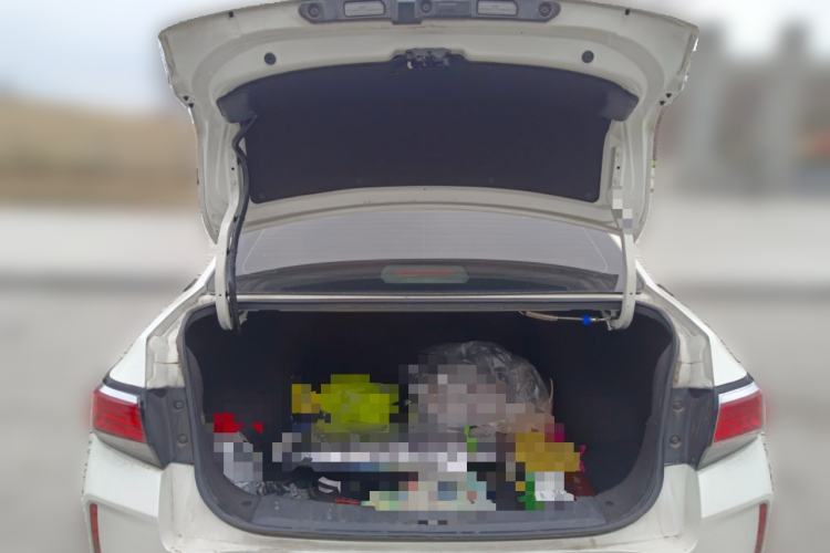 Used Venucia Venucia D60EV 2020 Standard Range T3