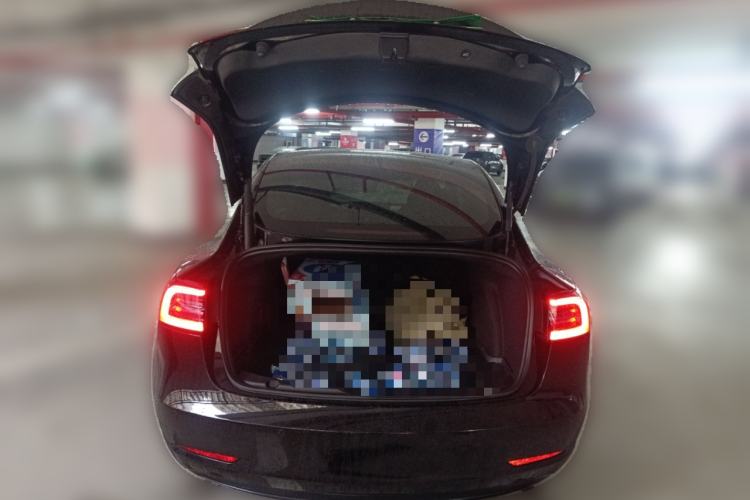 Used Tesla Model 3 2021 Performance High-Performance All-Wheel-Drive Version