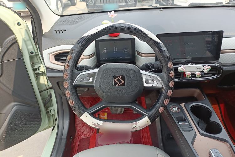 Used SOL E10X 2022 Flower Fairy Design Four-Leaf Clover