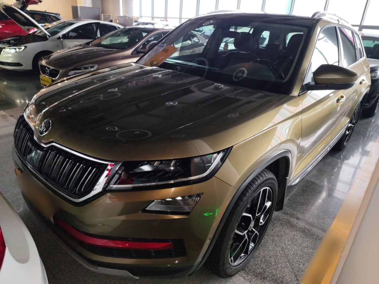 تحت مقدمة السيارة