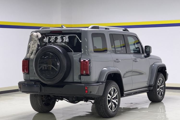 Used Tank 300 2023 City Edition 2.0T—Stylish as Ever