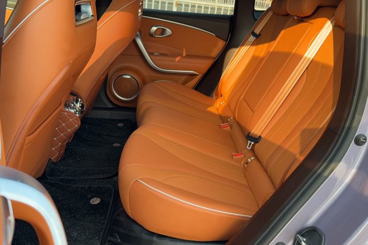 Used ORA Lightning Cat 2022 555 km Luxury Edition