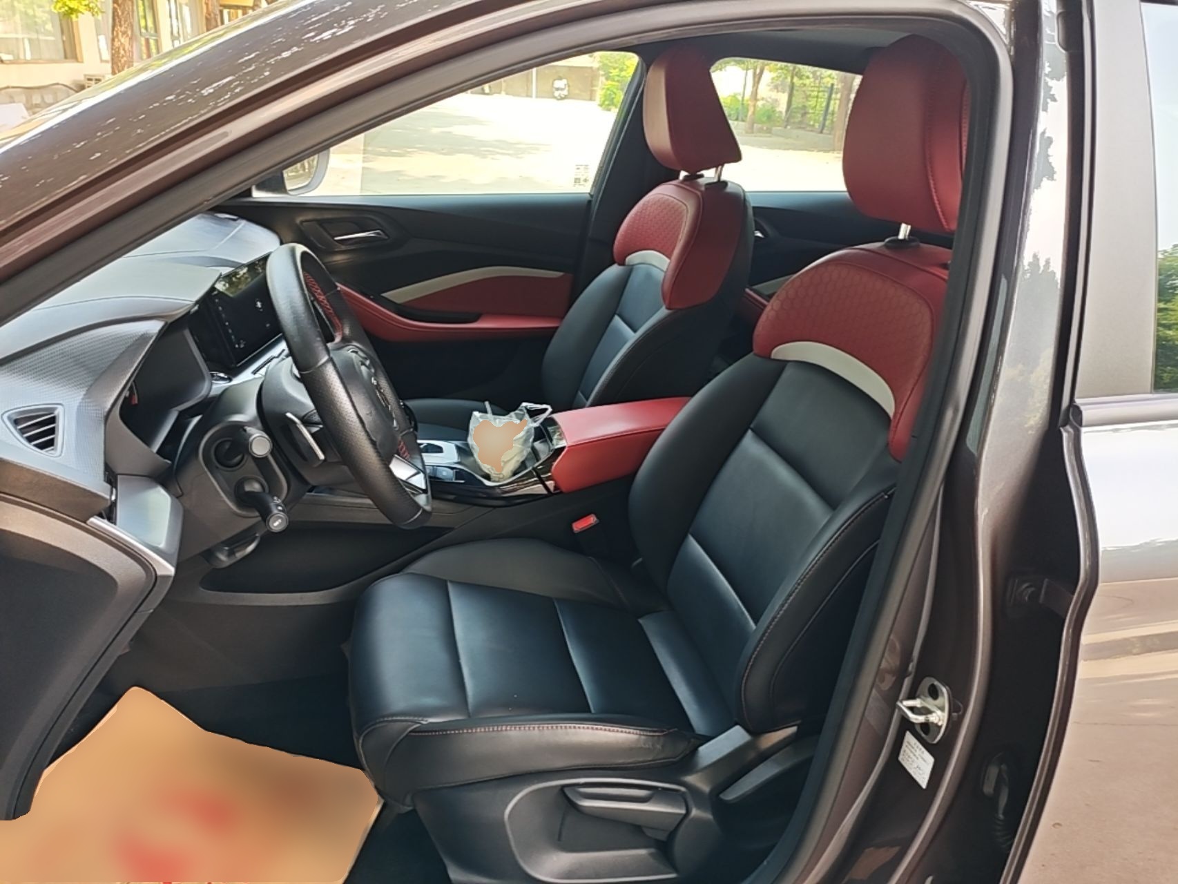 Interior delantero