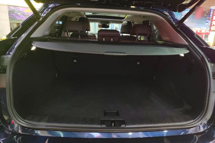 Used Lexus RX 2020 Facelifted 300 4x4 Elegant Edition
