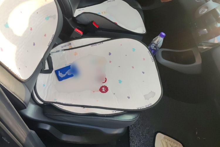 Used Leapmotor T03 2020 400 Luxury Edition