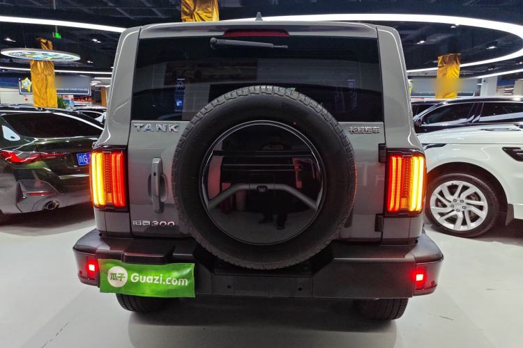 Used Tank 300 2021 City Edition 2.0T—Truly Stylish Rear