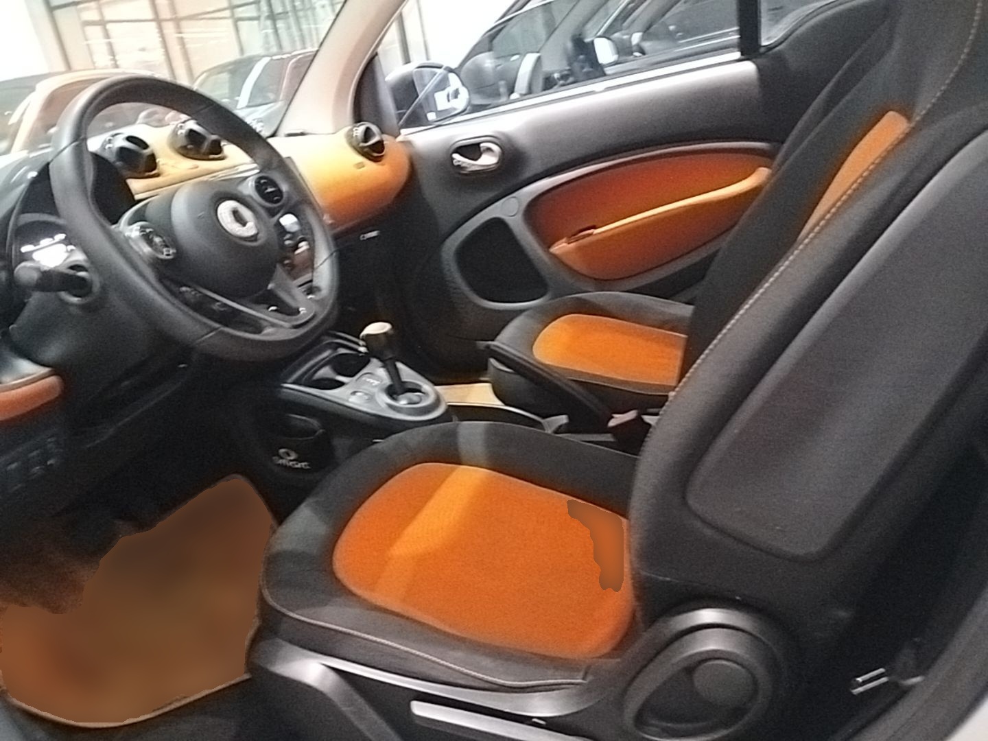 Interior delantero