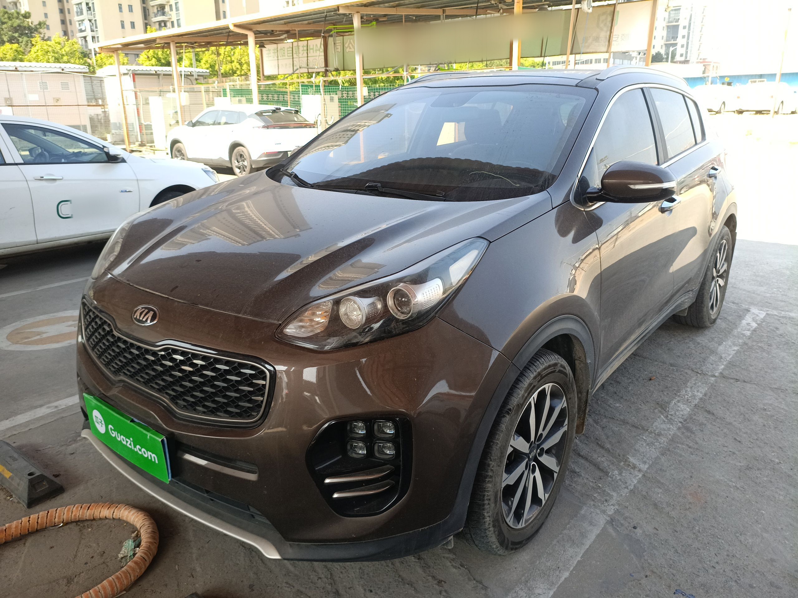 تحت مقدمة السيارة