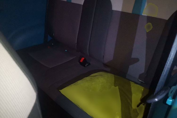 Used Qiyuan Lumin 2022 155 km – Refreshingly Sweet Edition