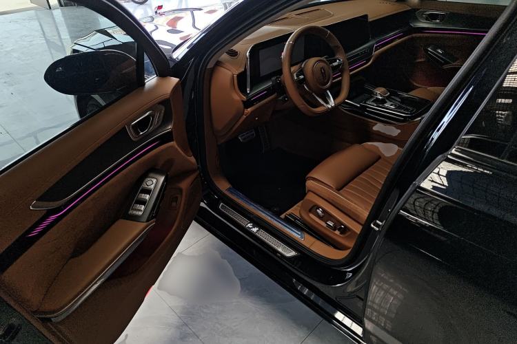 Used Hongqi H9 2024 2.0T Qixiang Private Style Edition
