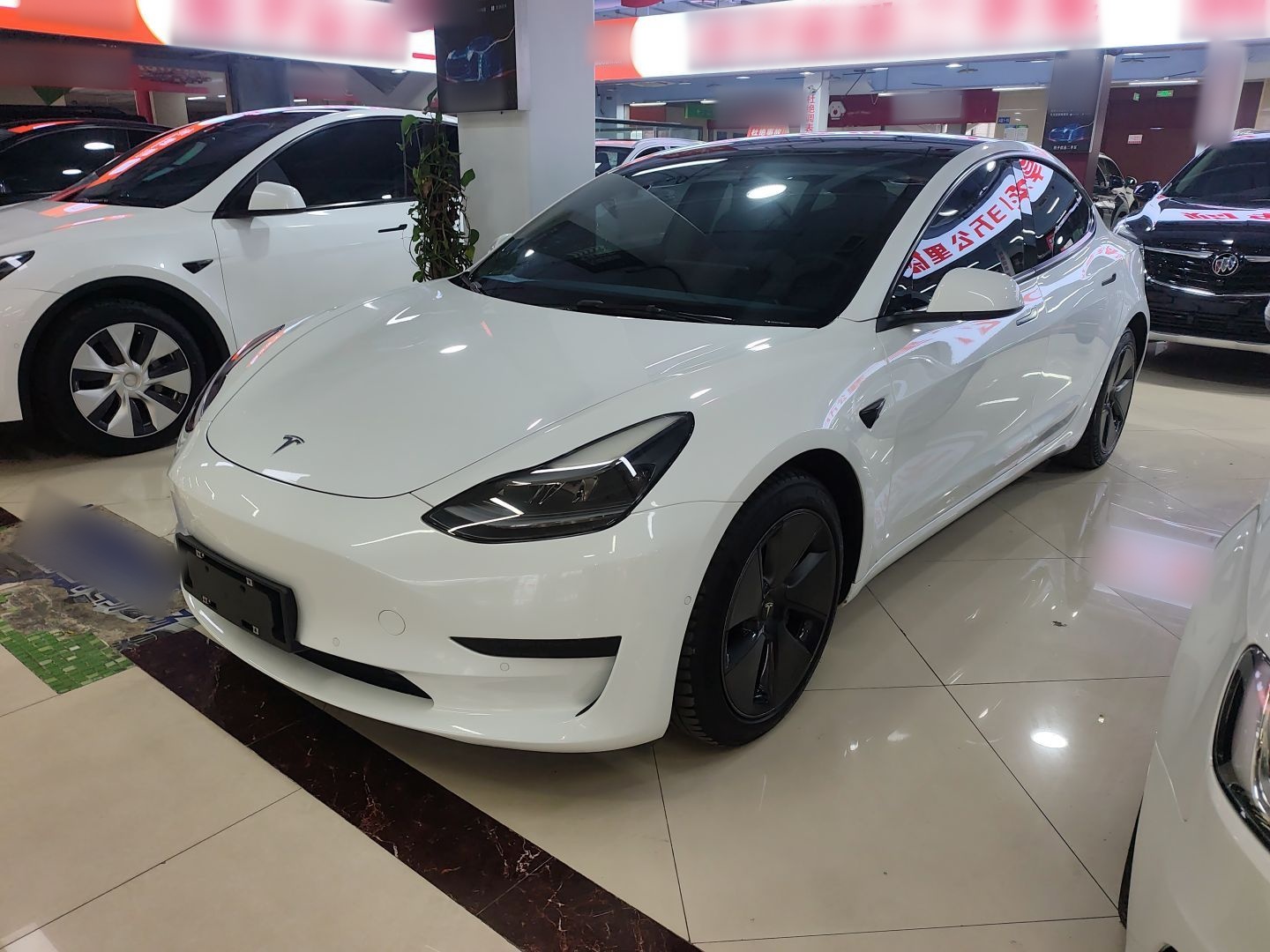 Parte inferior delantera