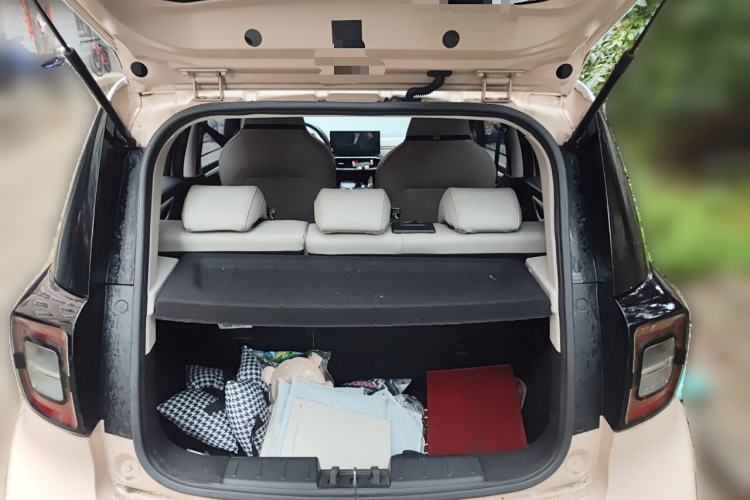 Used SOL E10X 2022 Flower Fairy Style Baby's Breath