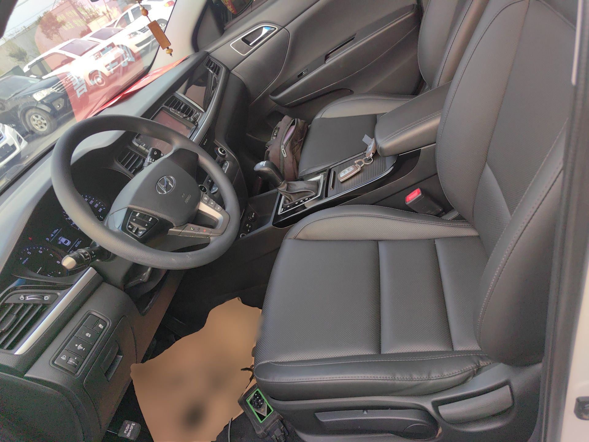 Interior delantero