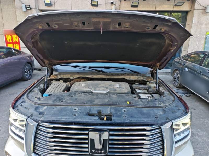 Used Tank 500 2022 3.0T High-End Custom Edition 5 Seats — 19