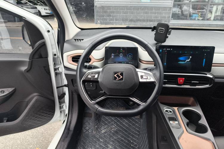 Used SOL E10X 2022 Flower Fairy Style Baby's Breath