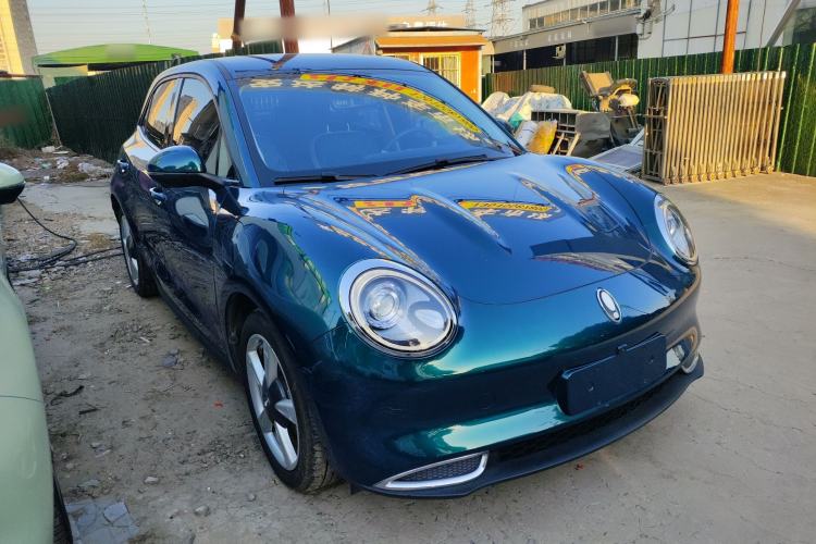 Used ORA Good Cat 2023 401 km Standard Range Luxury Version Lithium Iron Phosphate
