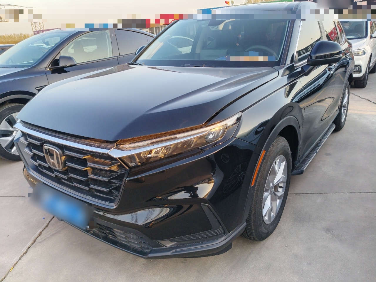 Parte inferior delantera