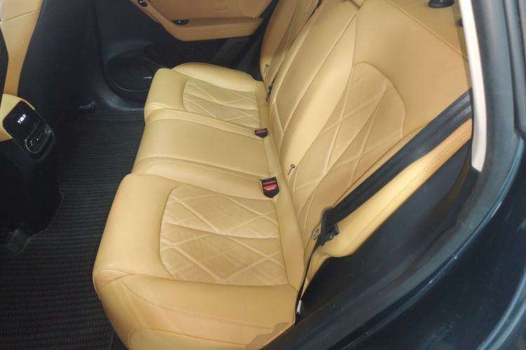 Used Leapmotor C11 2024 All-Electric 580 Luxury Edition Left Rear Seat