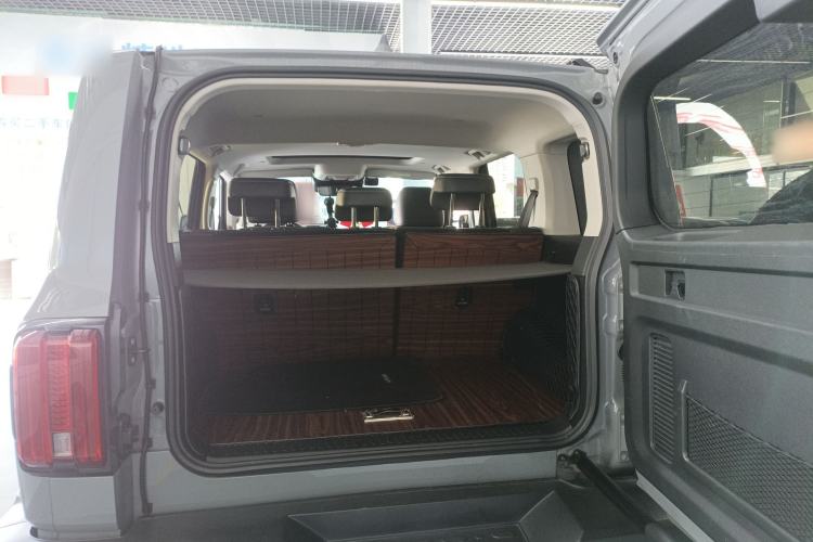 Used Tank 300 2021 City Edition 2.0T—Truly Stylish