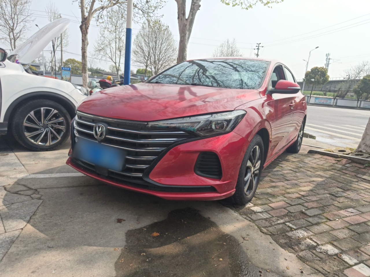 تحت مقدمة السيارة