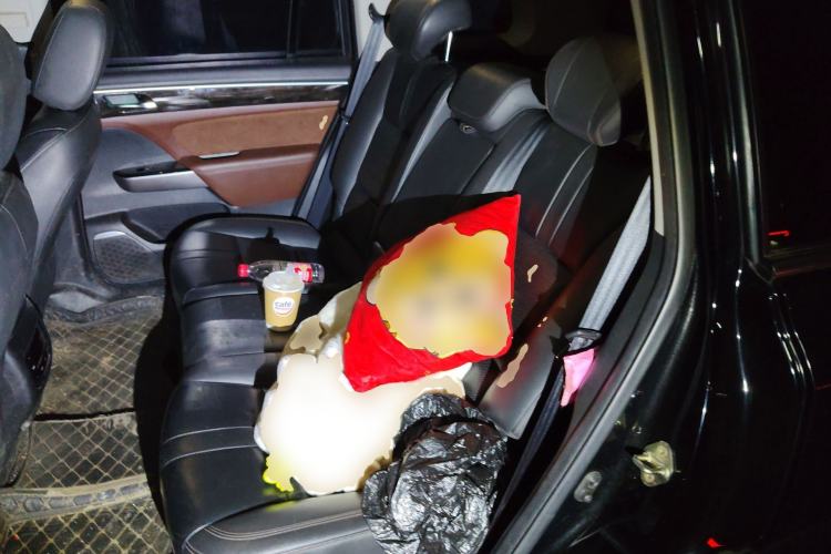 Used GAC Trumpchi GS8 2017 320T Two-Wheel Drive Luxury Smart Connectivity Version (7 Seats) Left Rear Seat