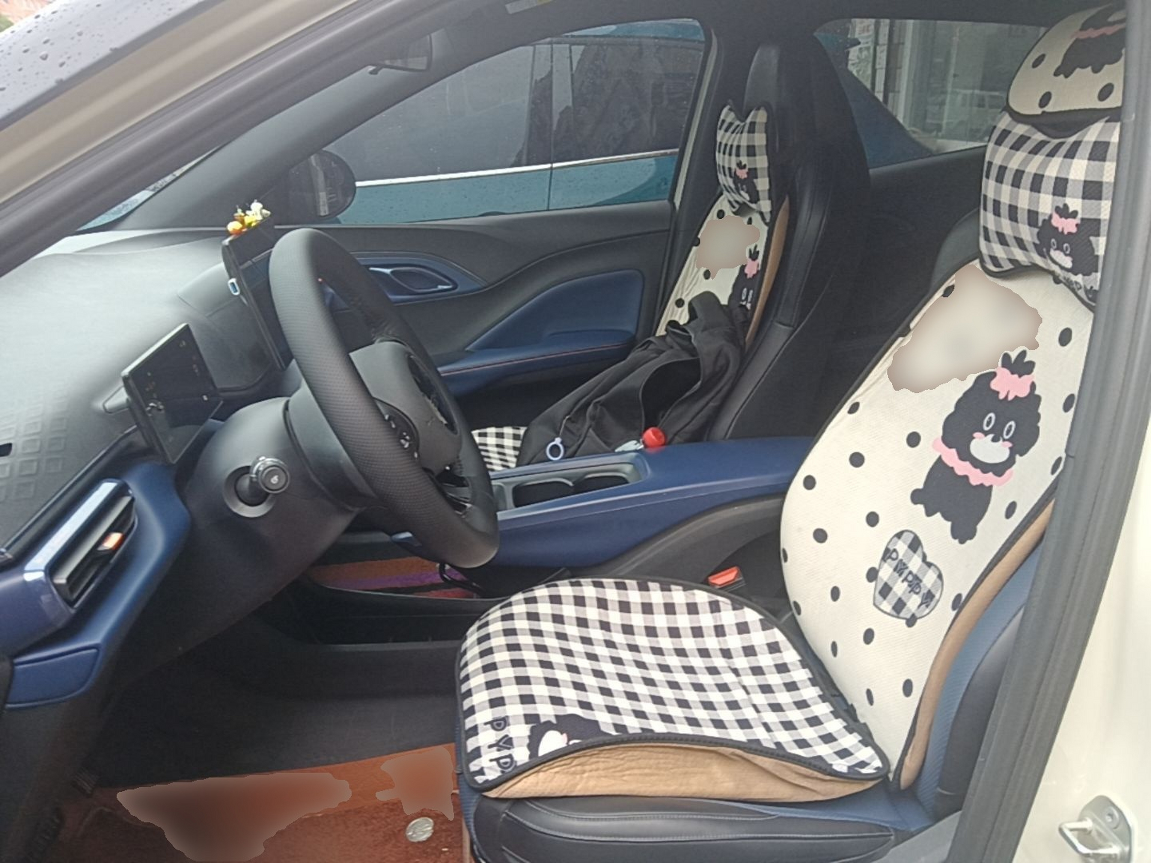 Interior delantero