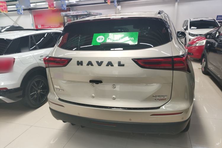 Used Haval H6 2024 2.0T All-Wheel Drive Max
