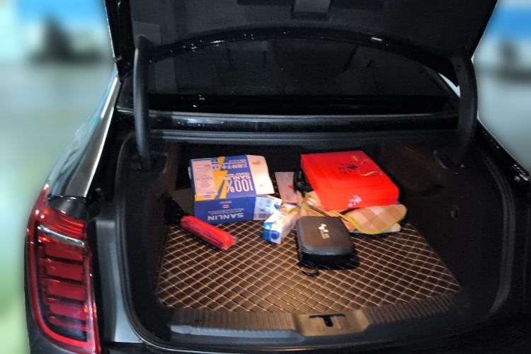 Used Hongqi H9 2022 2.0T Smart Connect Flagship Edition