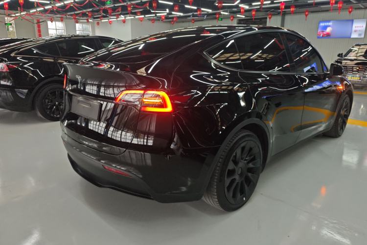 Used Tesla Model Y 2021 Standard Range Rear-Wheel Drive Version
