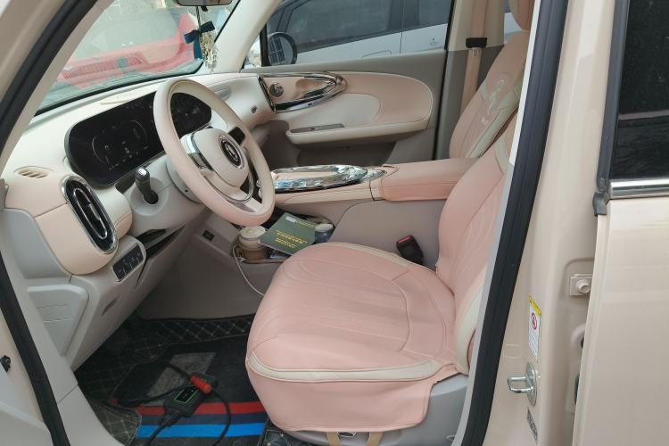 Used ORA Ballet Cat 2022 401 km Nutcracker Edition