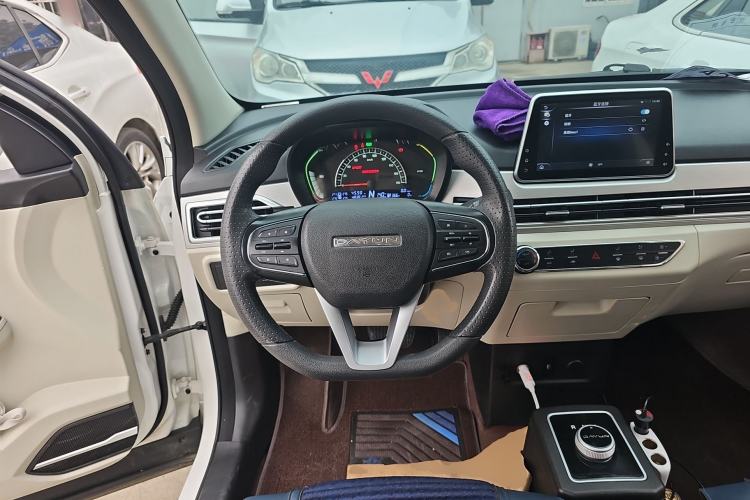 Used Dayun Yuehu 2023 230 Standard Edition
