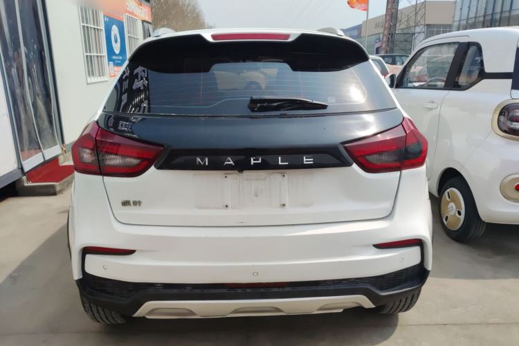 Used Livan Maple 30X 2020 Style Edition
