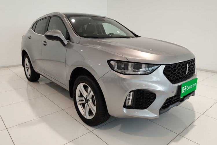 Used Wey VV5 2019 1.5T Two-Wheel Drive Color Pioneer
