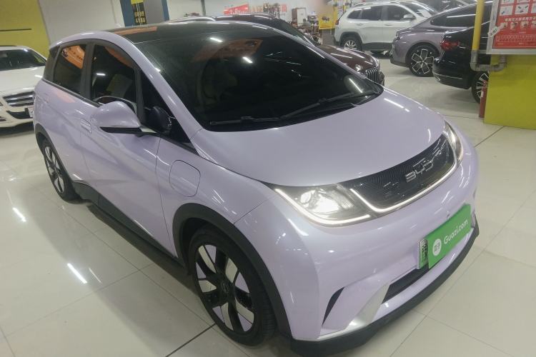 Used BYD Dolphin 2021 401km Knight Edition
