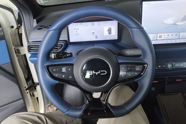 Used BYD Seagull 2025 Smart Drive Version 305 km Freedom Edition Steering Wheel