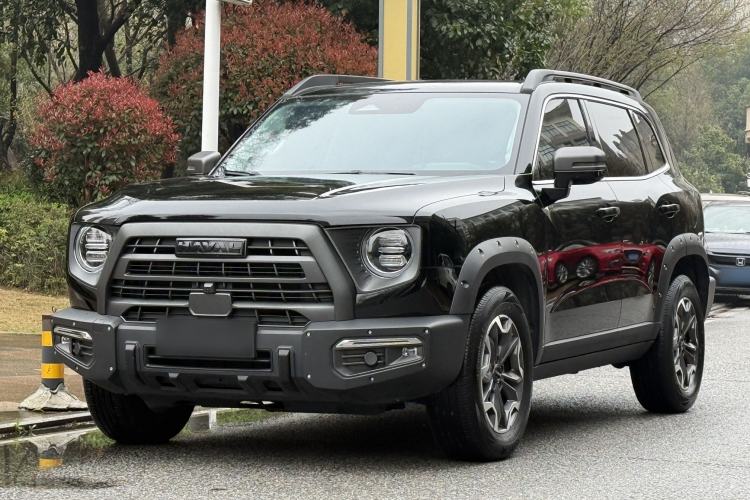 Used Haval DARGO 2024 2.0T DCT Chinese Rural Dog Edition