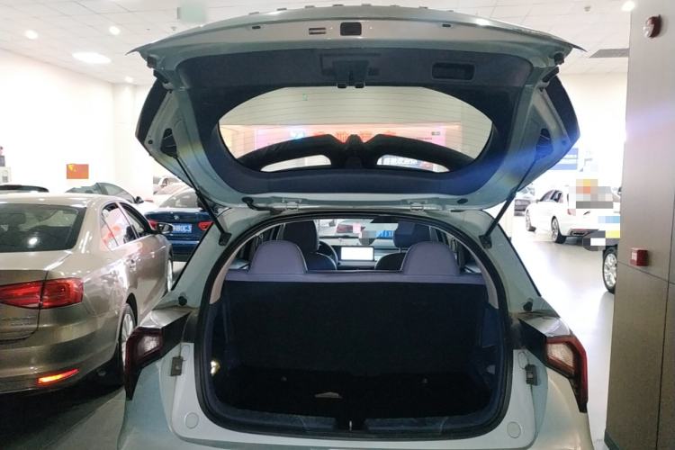 Used Geometry E Firefly 2022 320KM Cute Tiger 4-Seater
