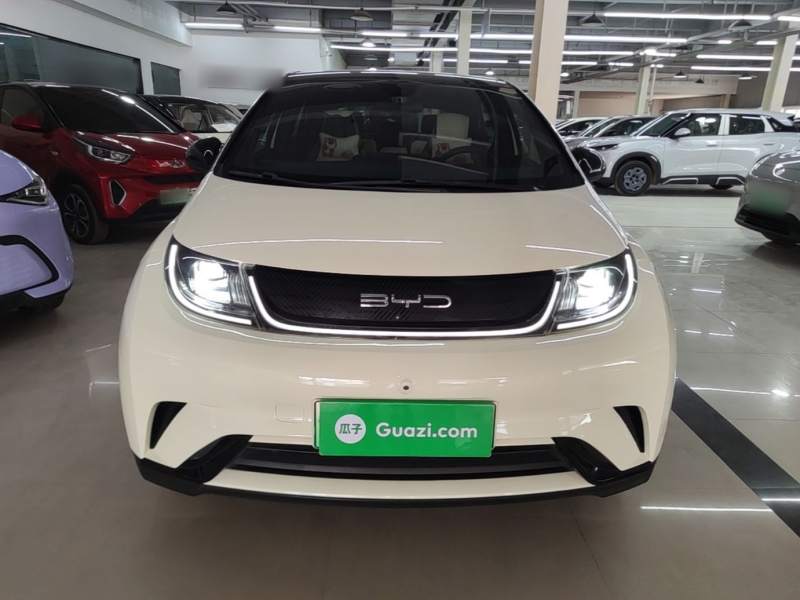 Used BYD Dolphin 2021 405 km Fashion Edition — 2