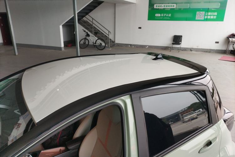 Used SOL E10X 2022 Flower Fairy Design Four-Leaf Clover
