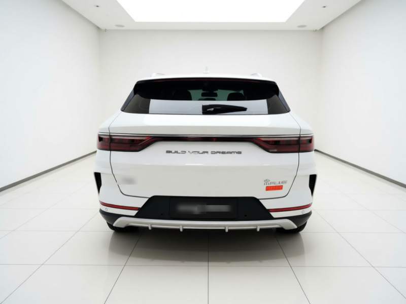 Used BYD Song PLUS 2020 1.5T Automatic Luxury Version — 5