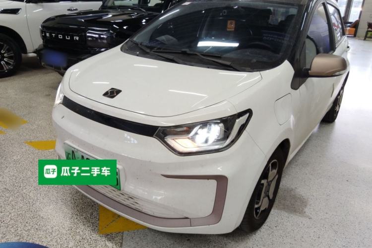 Used SOL E10X 2022 Flower Fairy Style Baby's Breath