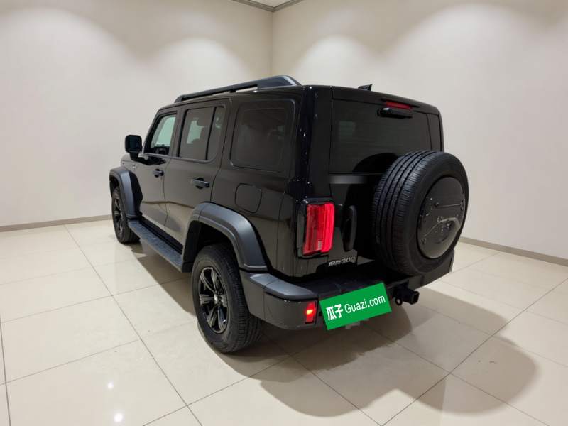 Used Tank 300 2024 2.0T Conqueror — 4