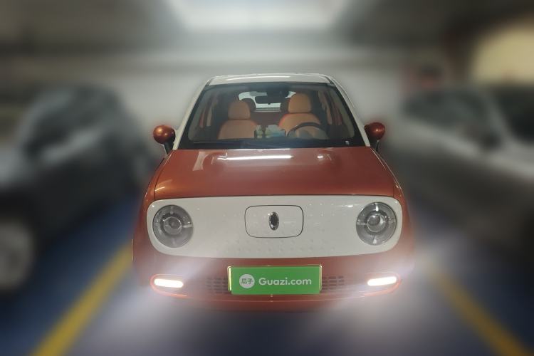 Used ORA Black Cat 2021 351 km Luxury Version
