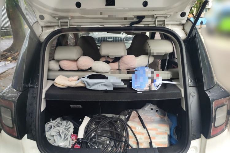 Used SOL E10X 2022 Flower Fairy Design Four-Leaf Clover
